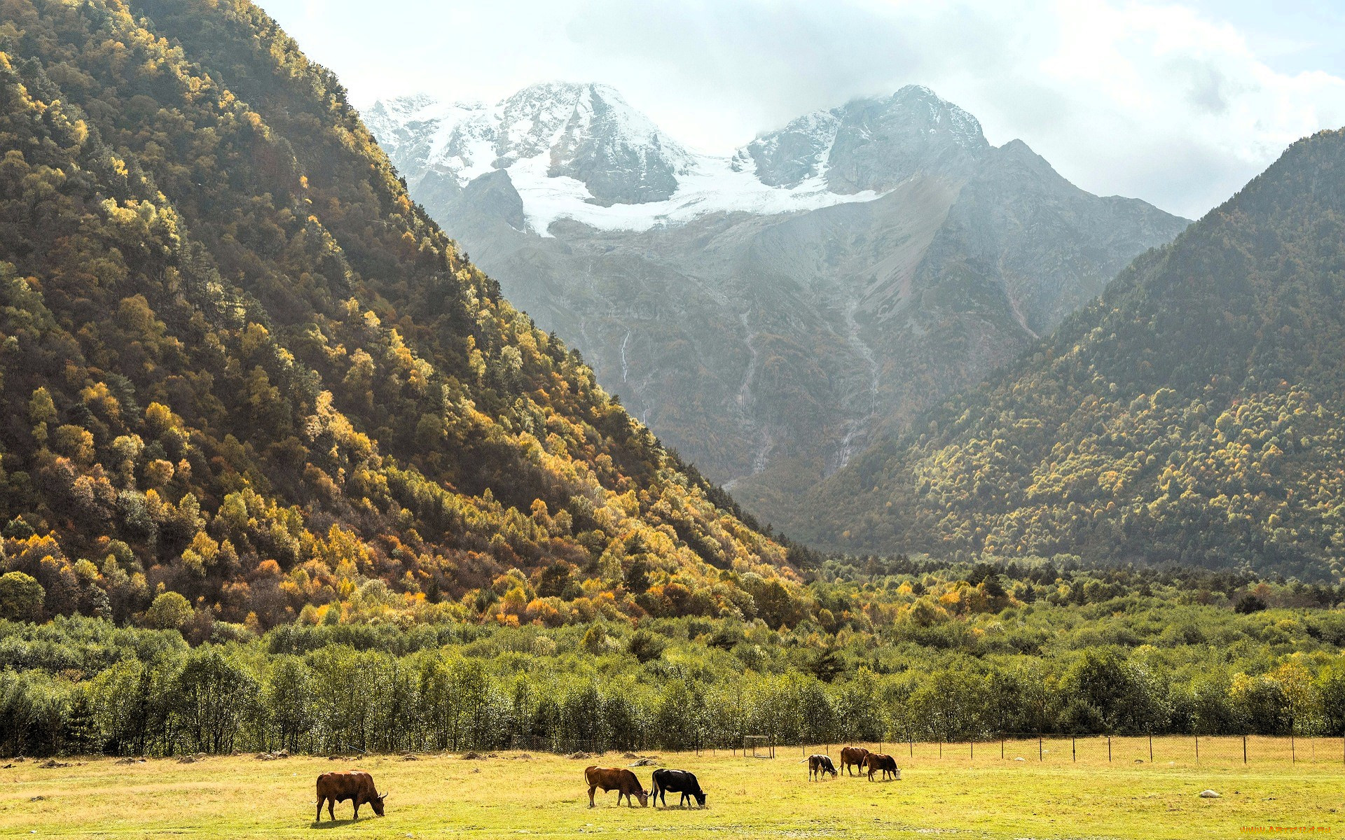 , ,  , , , , , , , , 